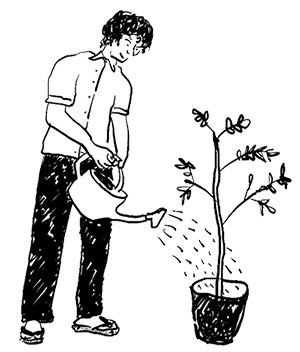 HUCKの木の家で “ヒュッゲ”な暮らし。蜜ろうで味わい深くなる無垢の木の床。